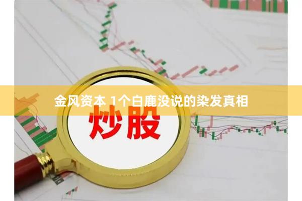 金风资本 1个白鹿没说的染发真相
