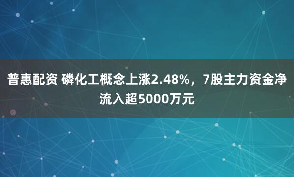 普惠配资 磷化工概念上涨2.48%，7股主力资金净流入超5000万元