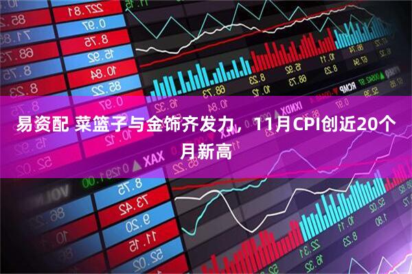 易资配 菜篮子与金饰齐发力，11月CPI创近20个月新高