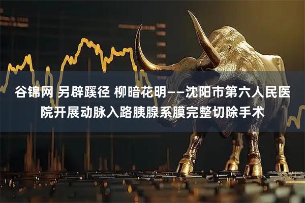 谷锦网 另辟蹊径 柳暗花明——沈阳市第六人民医院开展动脉入路胰腺系膜完整切除手术