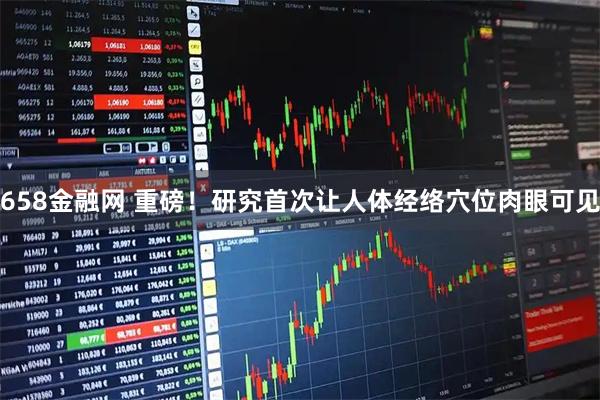 658金融网 重磅！研究首次让人体经络穴位肉眼可见