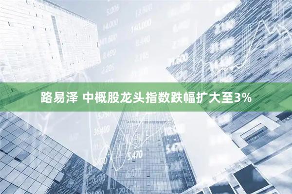 路易泽 中概股龙头指数跌幅扩大至3%